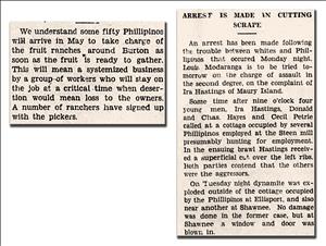 Two newspaper clippings. One announces the arrival of fifty Filipinos to work in fruit ranches and one says Arrest Is Made in Cutting Scrape. 